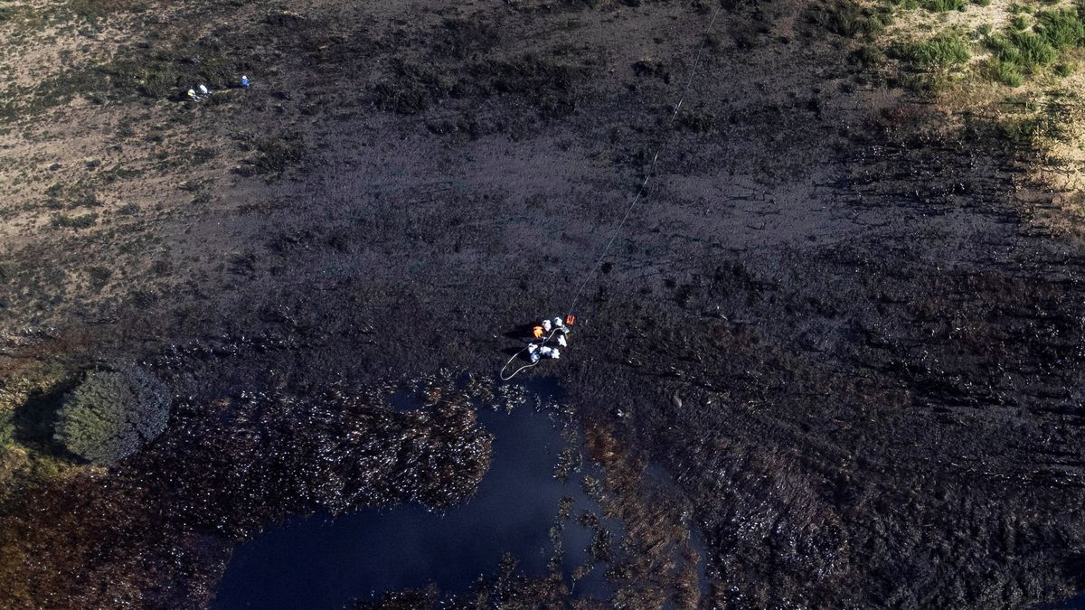 Laguna na 1000 metrech čtverečních. Z Družby v Polsku uniká ropa do kukuřičného pole